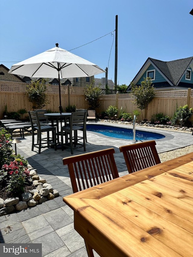 view of pool featuring a patio