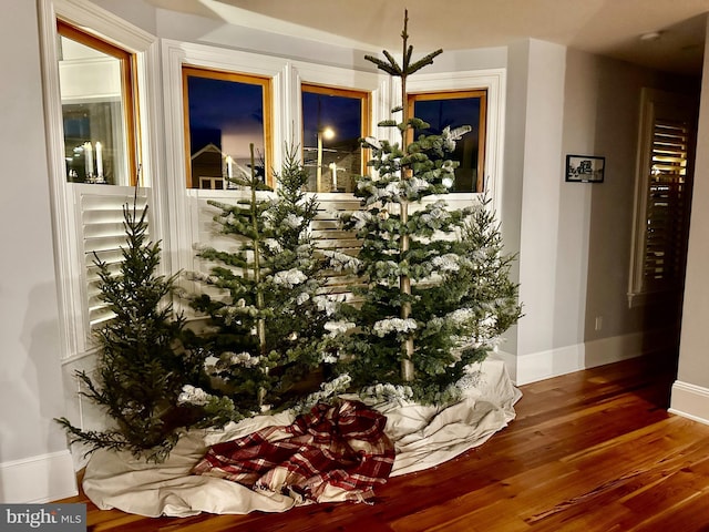 interior space with hardwood / wood-style floors