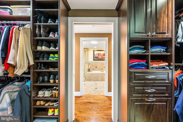 spacious closet featuring wood finished floors