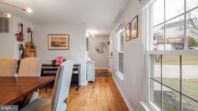 dining space featuring plenty of natural light and light hardwood / wood-style flooring