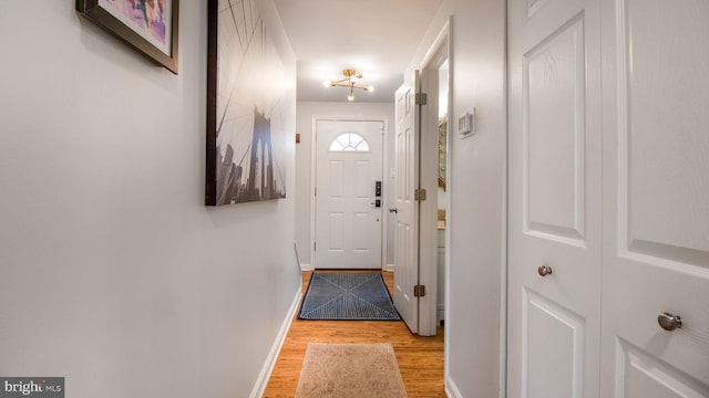 doorway to outside with light hardwood / wood-style floors