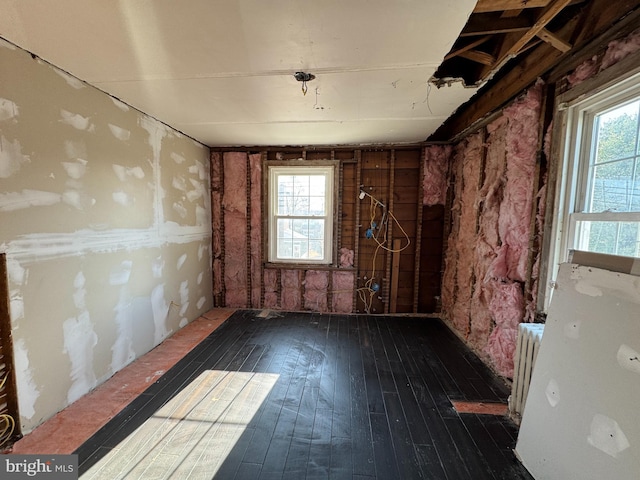 misc room featuring plenty of natural light, radiator, and dark hardwood / wood-style flooring