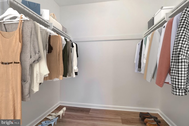 spacious closet featuring hardwood / wood-style floors