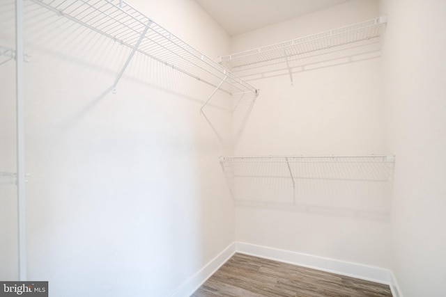 spacious closet featuring hardwood / wood-style floors