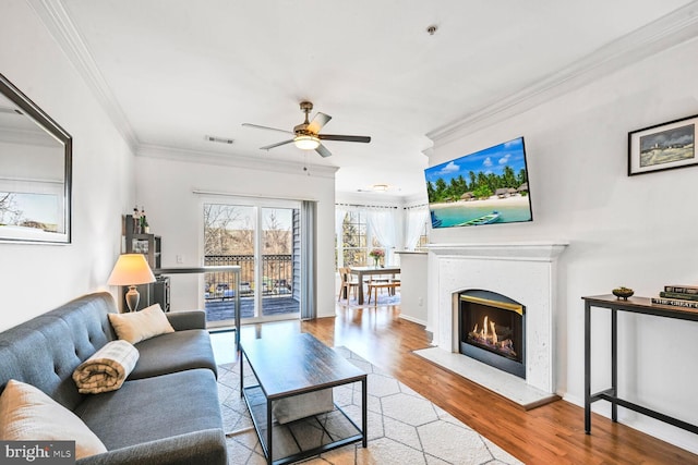 living room with crown molding, visible vents, a ceiling fan, light wood-type flooring, and a warm lit fireplace