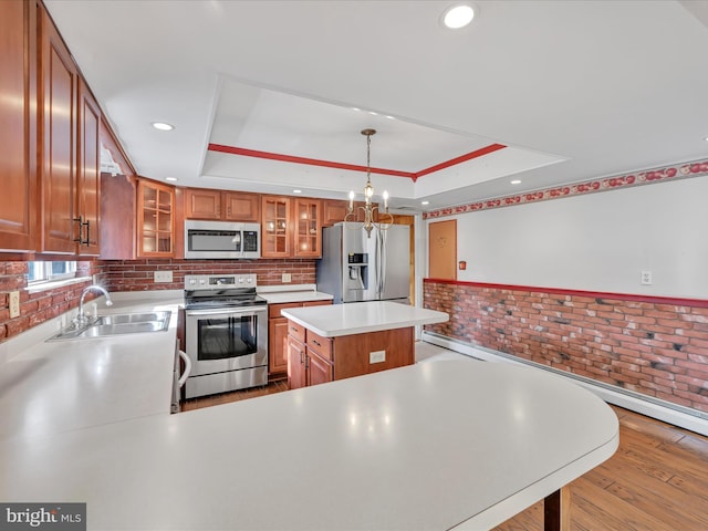 kitchen featuring stainless steel appliances, a center island, sink, and a raised ceiling