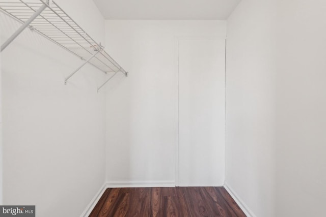 walk in closet featuring dark hardwood / wood-style flooring