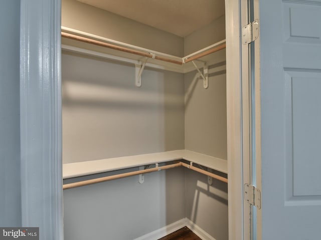 view of walk in closet