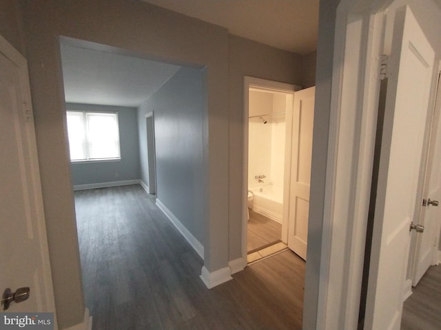 corridor with wood-type flooring