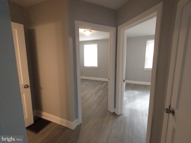 corridor with wood-type flooring