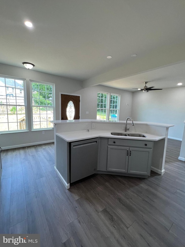 kitchen featuring sink, dishwasher, ceiling fan, dark hardwood / wood-style floors, and an island with sink