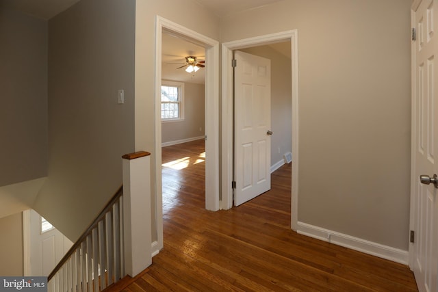 hallway with dark wood-type flooring