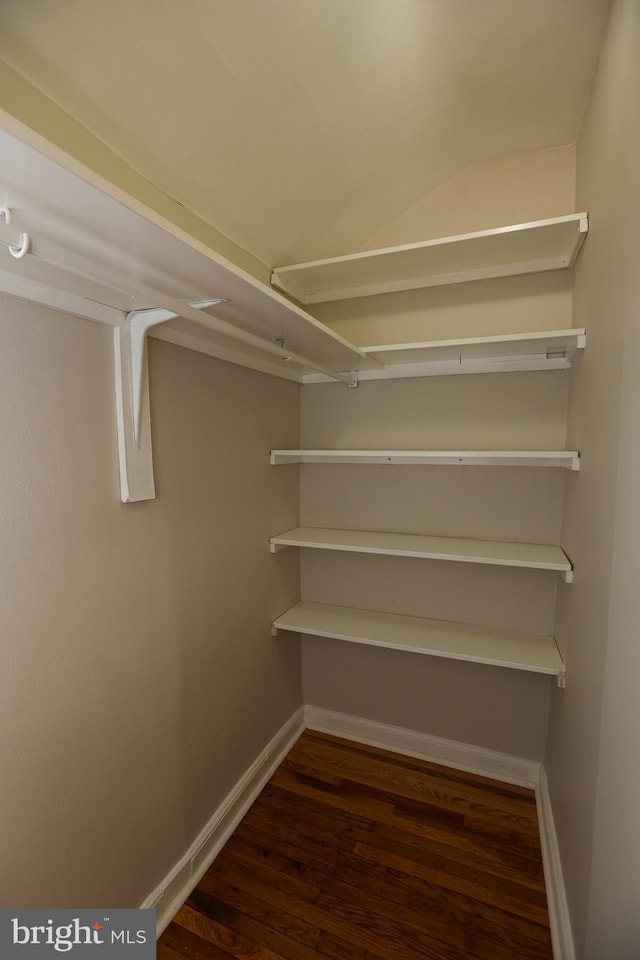 spacious closet with dark hardwood / wood-style floors