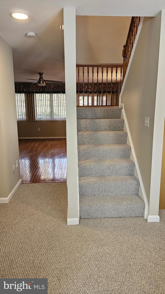 stairs with baseboards and carpet floors