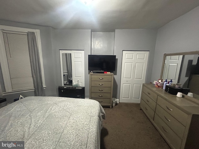 carpeted bedroom with multiple closets