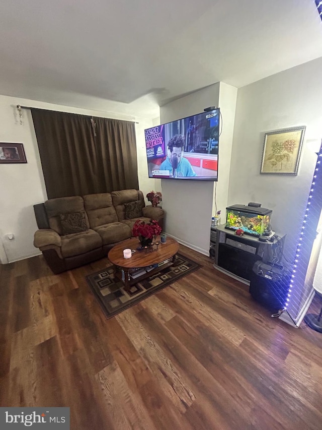 living room featuring wood-type flooring