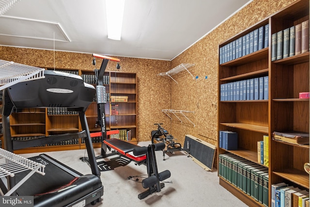 exercise area featuring carpet