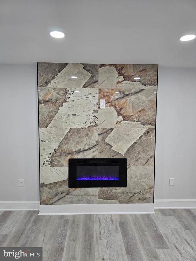 room details featuring hardwood / wood-style flooring and a fireplace