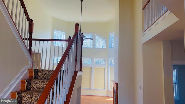 staircase featuring wood-type flooring and a towering ceiling