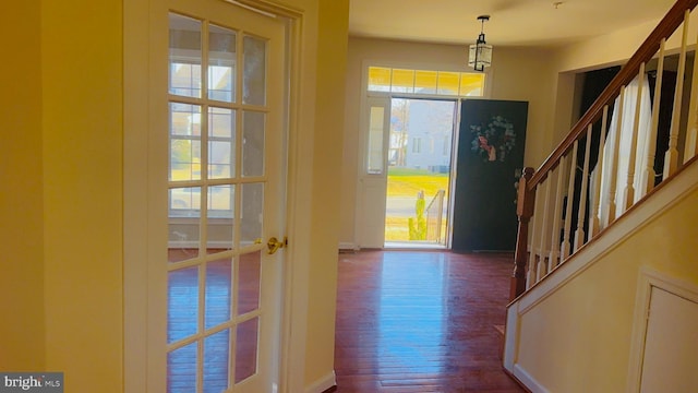 foyer entrance with dark hardwood / wood-style flooring