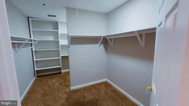 walk in closet featuring carpet