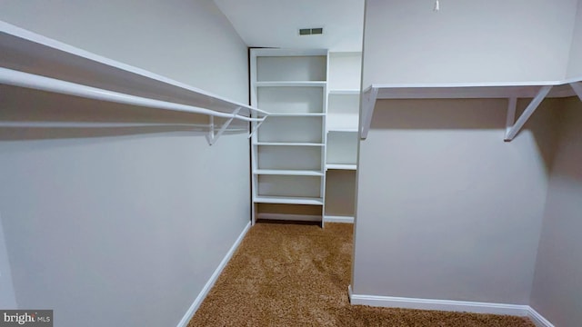 spacious closet featuring carpet