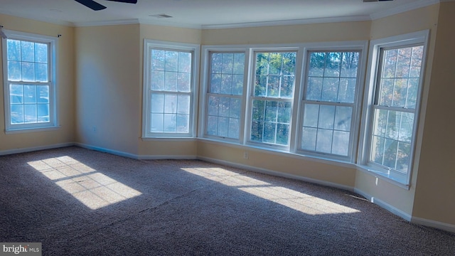 spare room featuring crown molding, ceiling fan, and carpet flooring