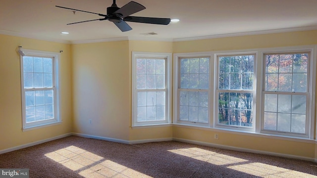 carpeted empty room with ceiling fan and ornamental molding