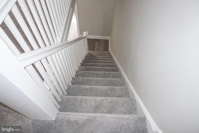 stairs featuring carpet flooring