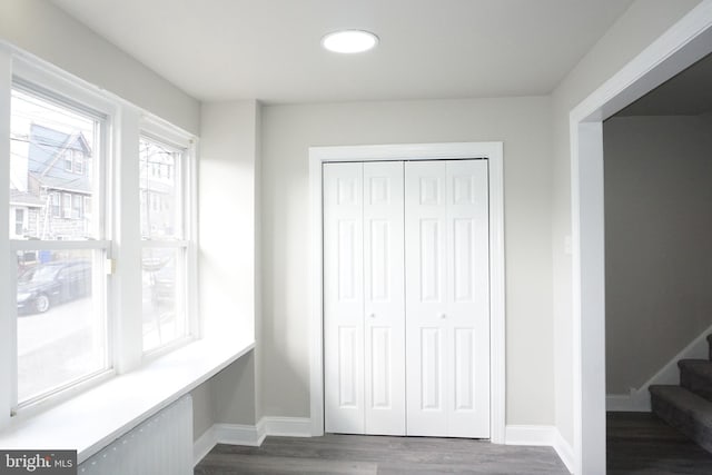 interior space with dark wood-type flooring