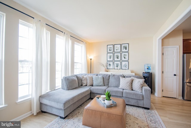 living room featuring a healthy amount of sunlight and light hardwood / wood-style floors