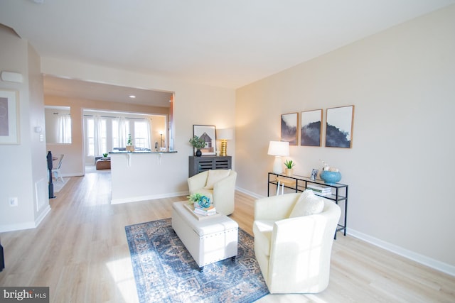 living room featuring light wood-type flooring