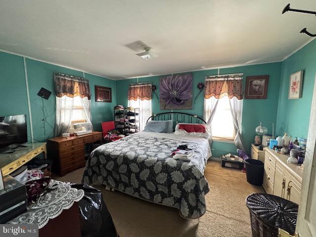 carpeted bedroom featuring multiple windows and crown molding