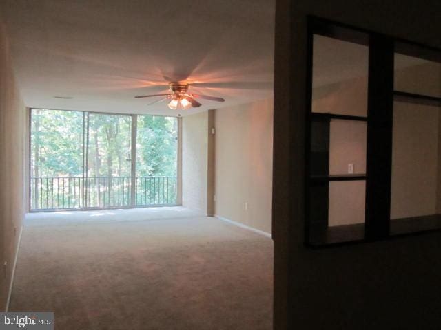 carpeted empty room with expansive windows and ceiling fan