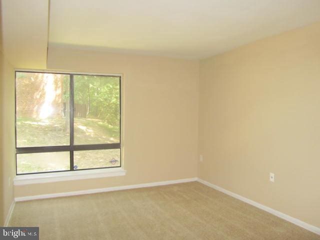 spare room with carpet flooring