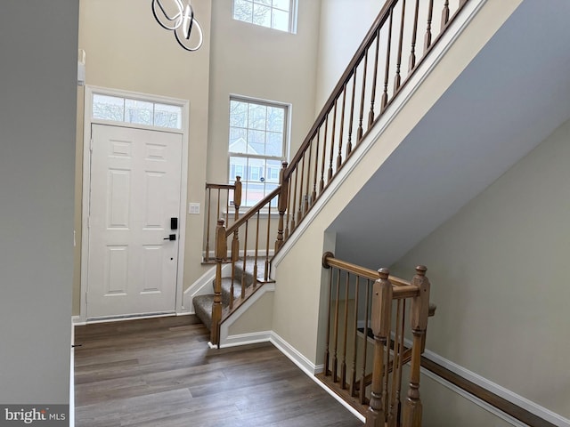 entrance foyer featuring a high ceiling and dark wood-type flooring