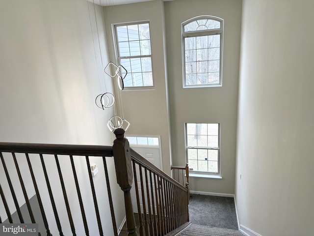 stairs featuring plenty of natural light and carpet flooring