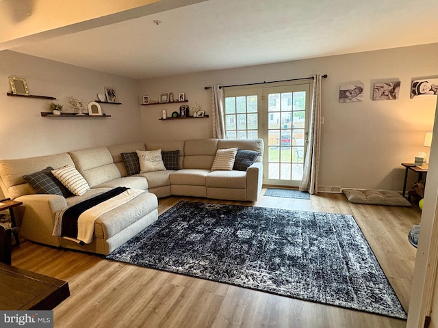 living room with hardwood / wood-style floors