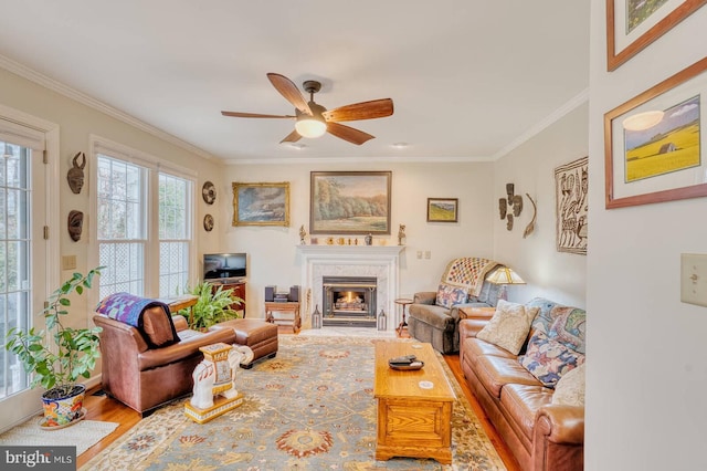 living room featuring hardwood / wood-style flooring, ceiling fan, and ornamental molding