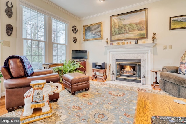 living area featuring crown molding, wood-type flooring, and a premium fireplace