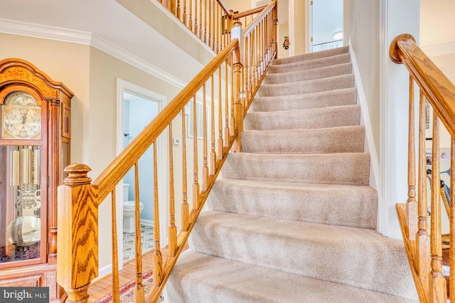 stairs with crown molding