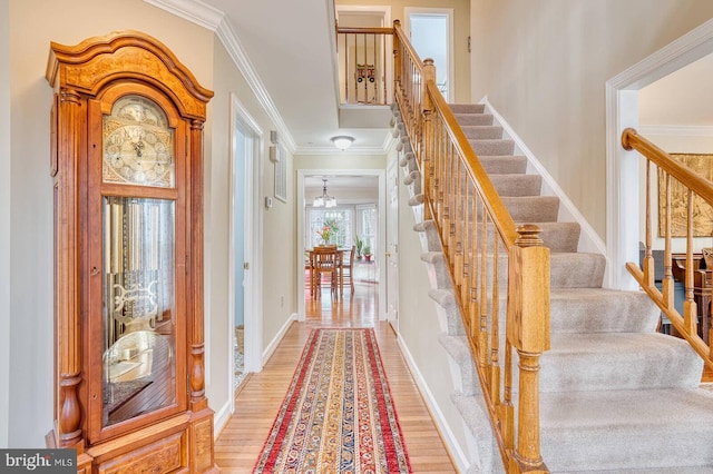 foyer with crown molding and light hardwood / wood-style floors