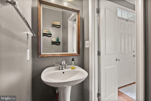 bathroom with hardwood / wood-style flooring