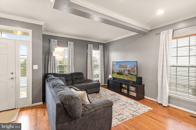 living room with crown molding and light hardwood / wood-style floors