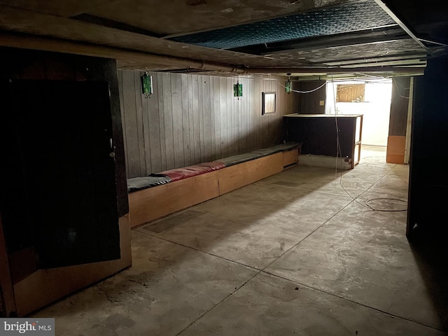 basement with wood walls