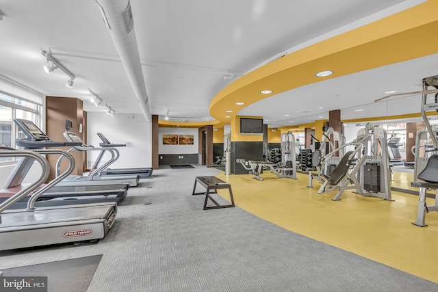 workout area featuring carpet floors, a wealth of natural light, and rail lighting