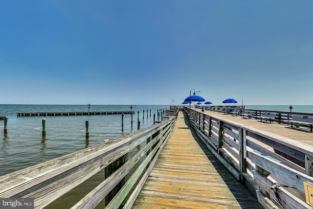 dock area with a water view