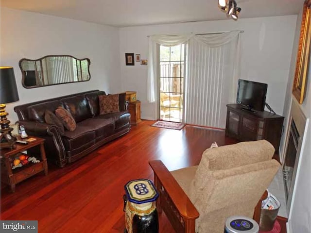 living room featuring wood-type flooring