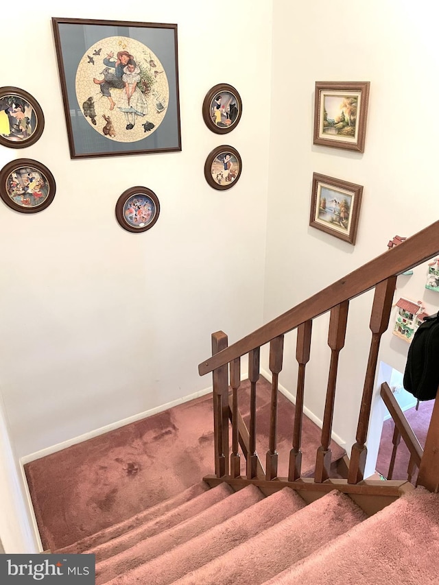 staircase featuring carpet floors