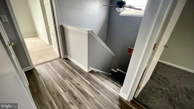 stairs with wood-type flooring and ceiling fan